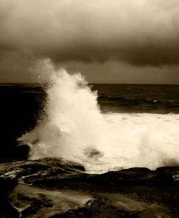 Evaluación del impacto de la capacitación en una provincia de Cuba