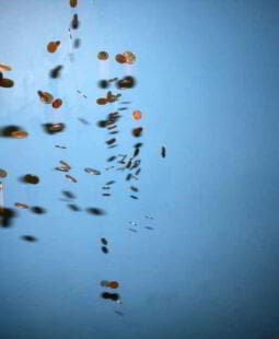 Limitaciones del análisis causal de la liquidez en empresas cubanas