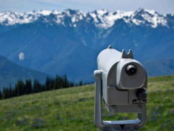 Conocimiento holístico