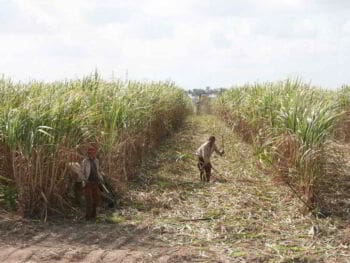 Evaluación del impacto de la capacitación laboral en una empresa cubana Evaluación del impacto de la capacitación laboral en una empresa cubana
