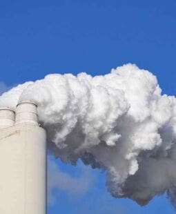 Comercio internacional y normas de protección del medio ambiente