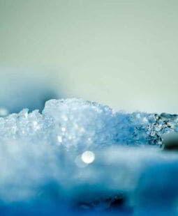 Determinando la auditoría pública