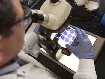 La bioética. Reproducción asistida, aspectos médicos, científicos y bioéticos