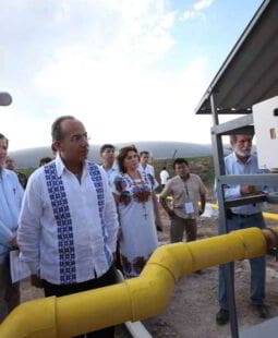 Estudio de la innovación en empresas de base tecnológica, Yucatán