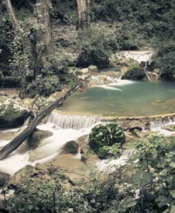 Ecoturismo y desarrollo en la región de Jalpan de Serra Querétaro México