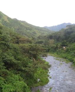 Anteproyecto de cultura ambiental en una provincia de Cuba