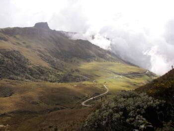 Fortalecimiento del Sistema Nacional Ambiental en el Eje Cafetero