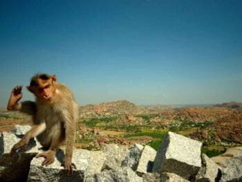 Innovación y flexibilidad. El nuevo paradigma empresarial.