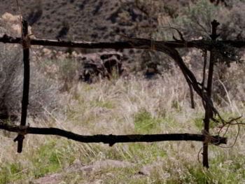 Marco integrado de Control Interno latinoamericano Marco integrado de Control Interno latinoamericano