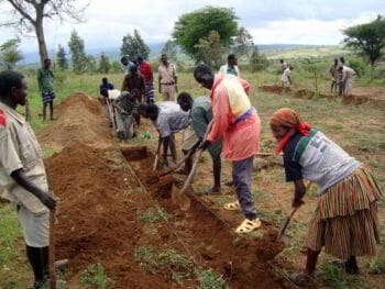 Financiamiento para el desarrollo de proyectos agroforestales