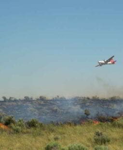 Consejos para solucionar los problemas: Si no hay solución, ¡no hay problema!