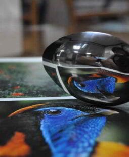 A reflexão que conduz ao autoconhecimento