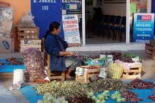 Identificación de los problemas económicos y sociales de Oaxaca