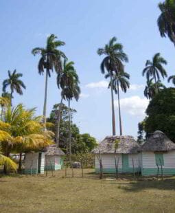El derecho real de superficie en Cuba