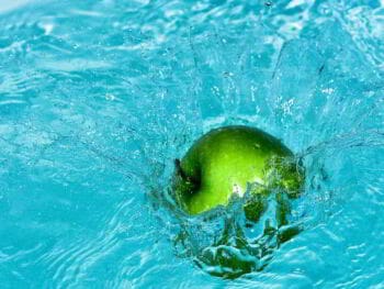 4 elementos básicos que debemos conocer antes de entrar a un negocio por internet 4 elementos básicos que debemos conocer antes de entrar a un negocio por internet