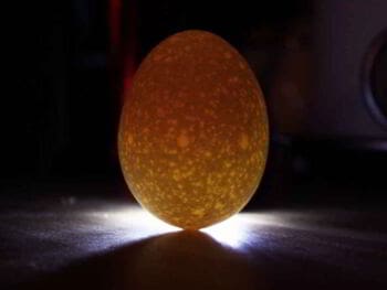 Elementos del emprendimiento virtual