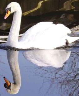 Género y derecho ambiental. Reflexiones en Cuba