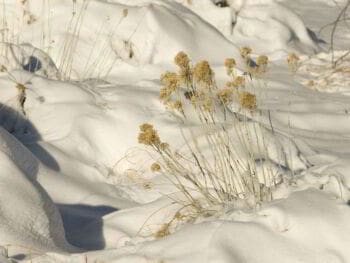 7 pasos para aumentar su resiliencia, una virtud clave para alcanzar el éxito