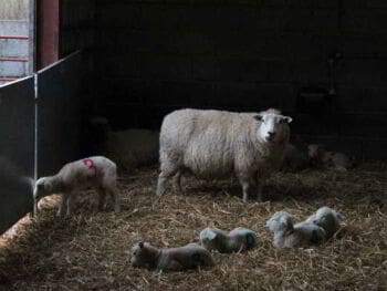 4 secretos para mejorar el comportamiento de tu hijo