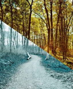 Diferencias en la evaluación de un crédito comercial y un microcrédito