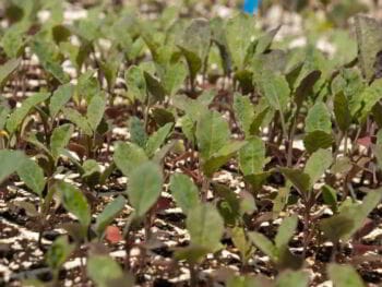 Capacitación en emprendimiento turístico para Parroquia de Manglaralto, Santa Elena, Ecuador