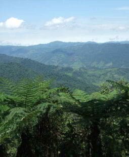 Diagnóstico administrativo de la reserva ecológica Santa Rosa, Santo Domingo de los Tsachilas Ecuador