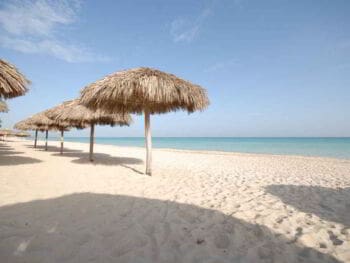 Formación de competencias laborales mediante el estudio de casos en profesionales del área económica de empresas turísticas Formación de competencias laborales mediante el estudio de casos en profesionales del área económica de empresas turísticas