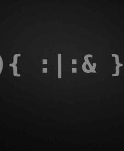 La inteligencia lógico-matemática en el campo práctico