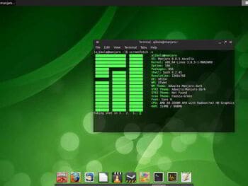 Linux en el sector empresarial mexicano