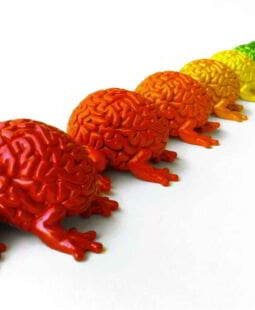 Neuromanagement: gestionar y liderar con el cerebro