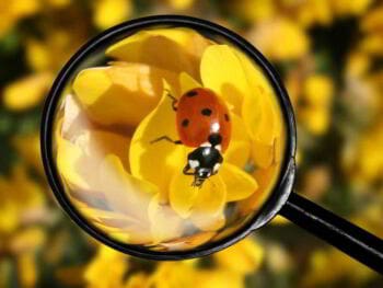 Auditoría financiera en la gestión de empresas de servicios de Lima Auditoría financiera en la gestión de empresas de servicios de Lima