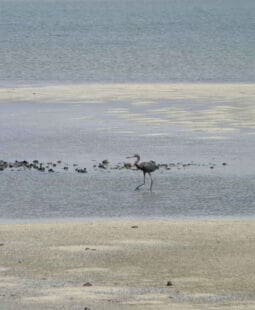 Cómo detectar el potencial de explotación turística de una localidad. Caso Laguna de la Leche, Cuba