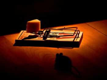 Auditoría integral para combatir el fraude y la corrupción en Perú