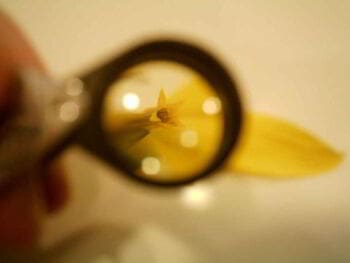 Auditoría de gestión para evaluar el desempeño de un gobierno local