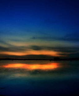 Radiografía del joven consumidor colombiano