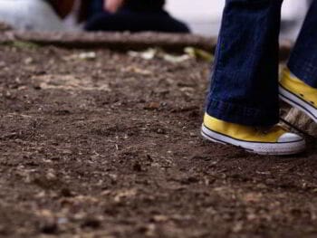 Educación emprendedora. ¿Cómo se origina el temor al fracaso en usted y en sus hijos? Educación emprendedora. ¿Cómo se origina el temor al fracaso en usted y en sus hijos?