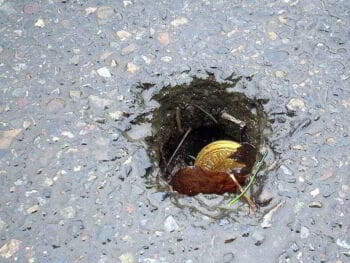 Cómo disminuir la elusión fiscal en el sistema tributario peruano Cómo disminuir la elusión fiscal en el sistema tributario peruano