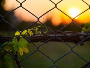3 barreras que te impiden tomar decisiones y cómo superarlas 3 barreras que te impiden tomar decisiones y cómo superarlas