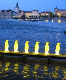 Diseñando la experiencia de marca. Cómo transformar a nuestros clientes en «Apóstoles»