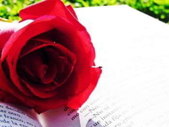 La autoestima y el éxito en los negocios