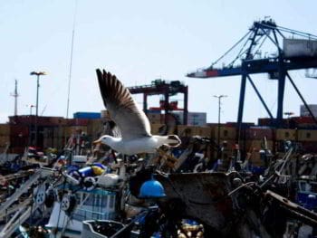 Sistema de control interno para la gestión efectiva de la Autoridad Portuaria Nacional del Perú