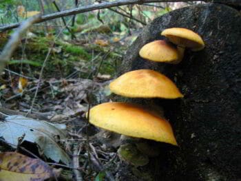 4 verdades sobre cómo conciliar la vida laboral y familiar 4 verdades sobre cómo conciliar la vida laboral y familiar