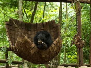 10 características del líder que se reinventa 10 características del líder que se reinventa