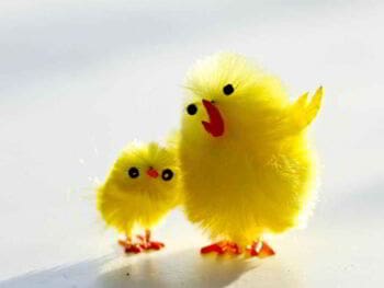 Comunicación y tipos de información para el desarrollo del conocimiento organizacional