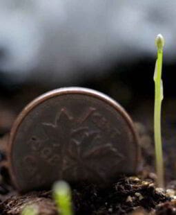 Cómo emprender la acción hacia el éxito en ventas