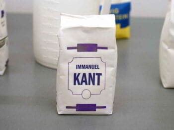 El Criticismo de Immanuel Kant en la búsqueda de amenazas empresariales