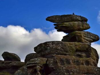 Formación empresarial. Importancia de tener mentores en su negocio en Internet Formación empresarial. Importancia de tener mentores en su negocio en Internet