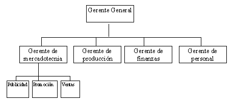 Organización Lineo- funcional