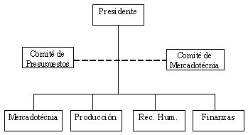 Organización divisional