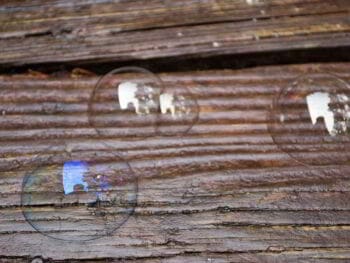 La teoría de la Reflexividad de George Soros La teoría de la Reflexividad de George Soros